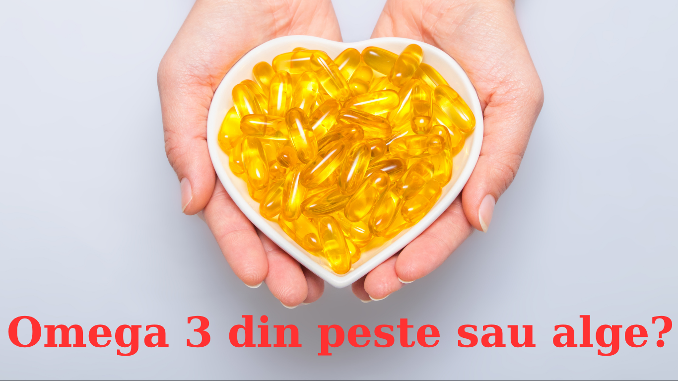 Omega-3 din pește sau din alge?